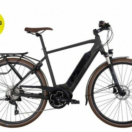 Crescent Elder e1648111260165