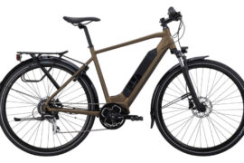 Elis Brun e1713255696875