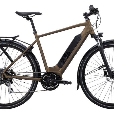 Elis Brun e1713255696875