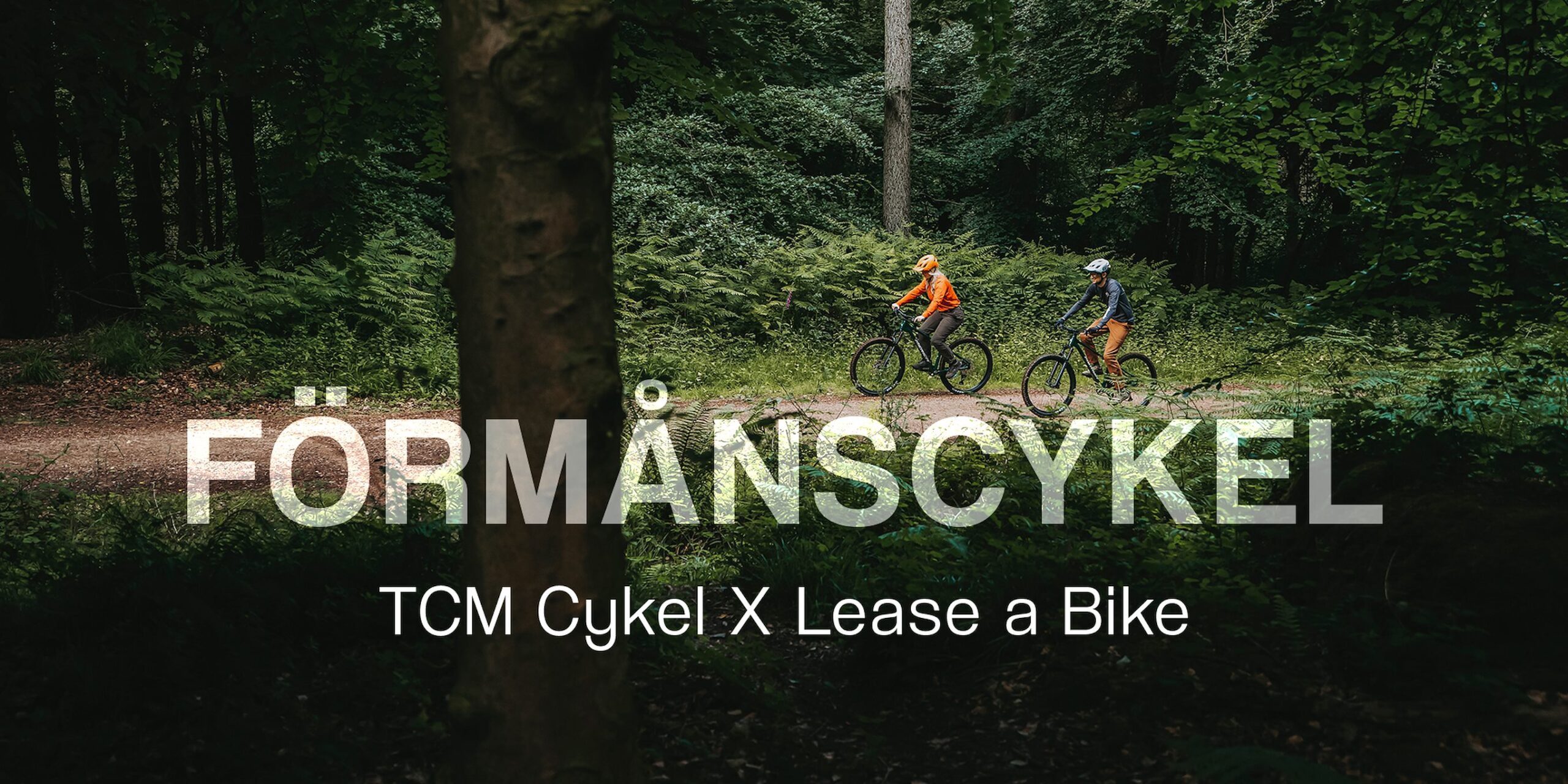 ero formanscykel tcmcykelse desktop