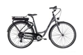 Bianchi Espillo City Dam silver