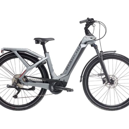 Bianchi e Omnia C Type silver