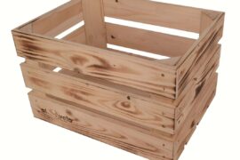 Korg Atran Woody AVS