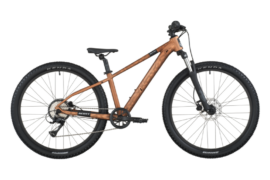 roxter600 26