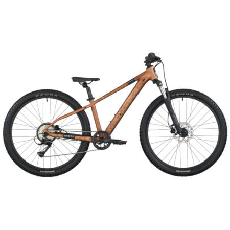roxter600 26