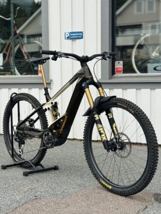 m-ltd demo
