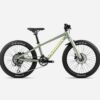 orbea 20 team disc gron e1723212317155